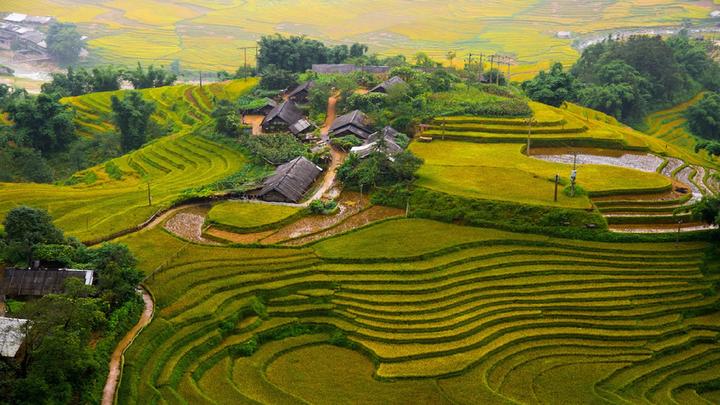 Từ HOT: Tiểu Yến Tử - Hạ Tử Vy - đến chiến lược content: Hotspot Matrix chia sẻ
