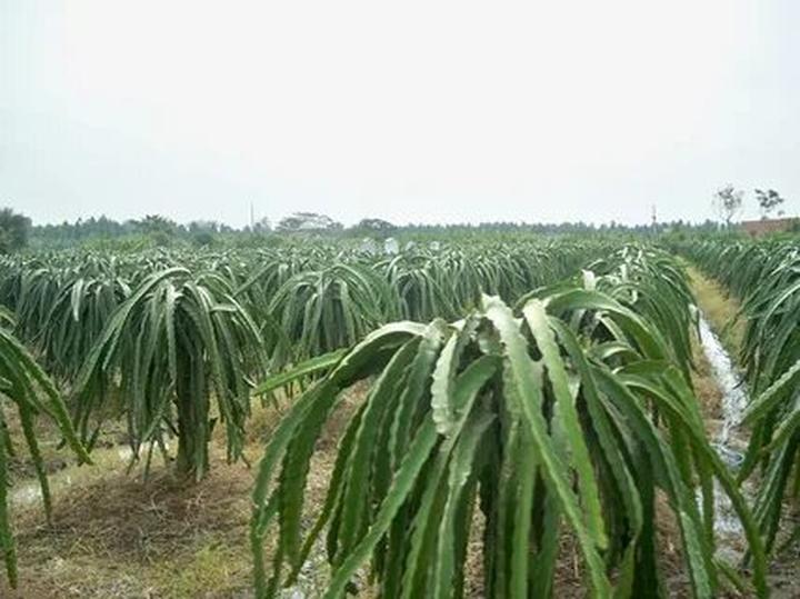 Trong thời đại hiện đại, xu hướng về thể thao và sức khỏe đang ngày càng trở