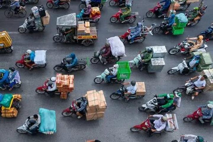 Hotspot Matrix và Forestival: Gắn kết nghệ thuật, cộng đồng và thiên nhiên